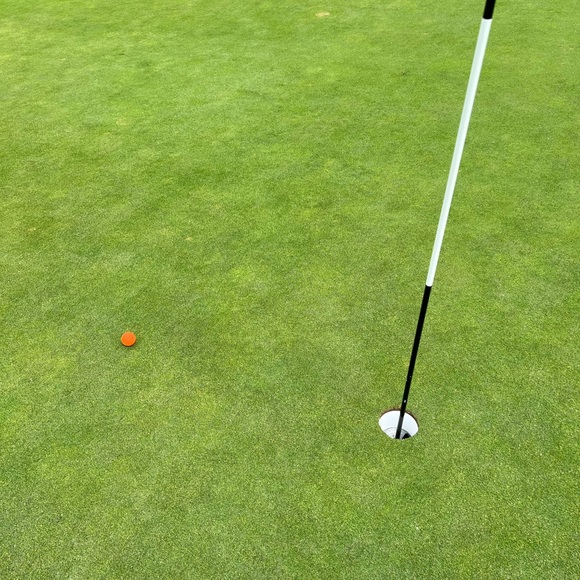 Meet your Posher, Posh - Picture 2 of 2